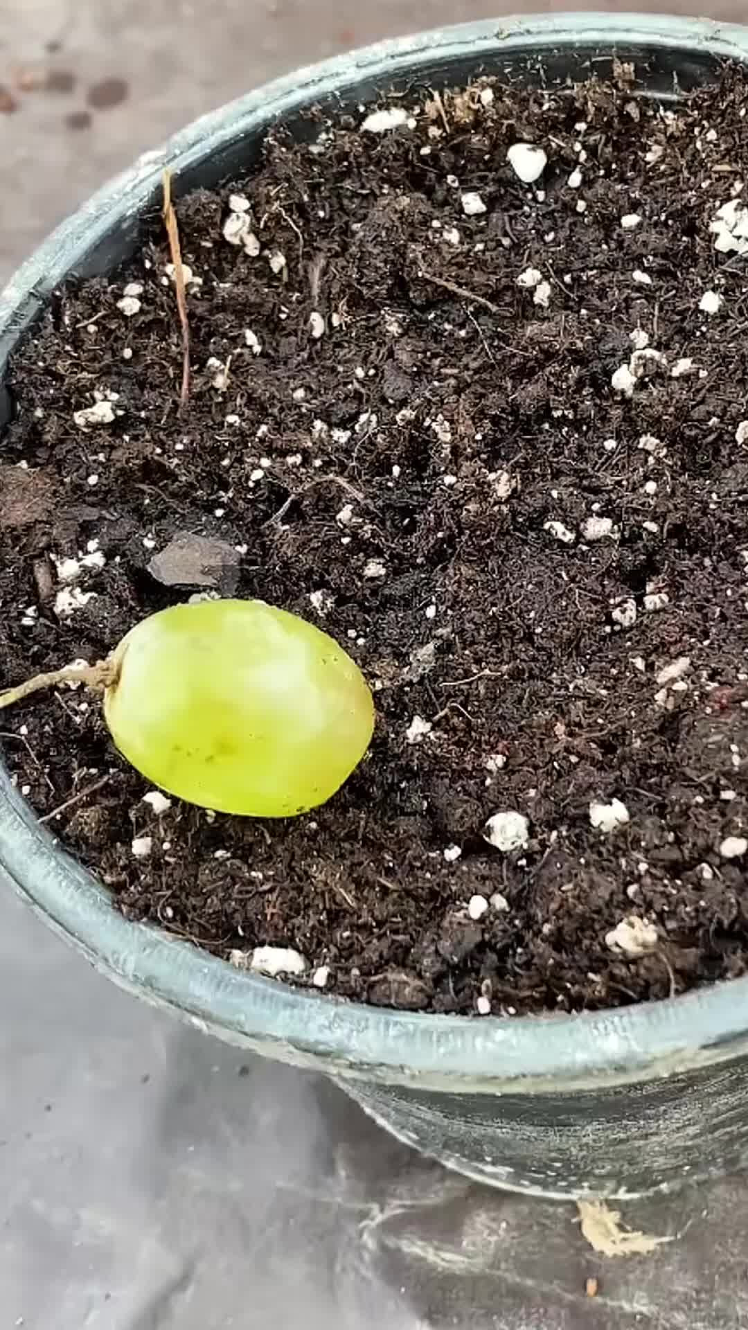 게시글 대표 이미지