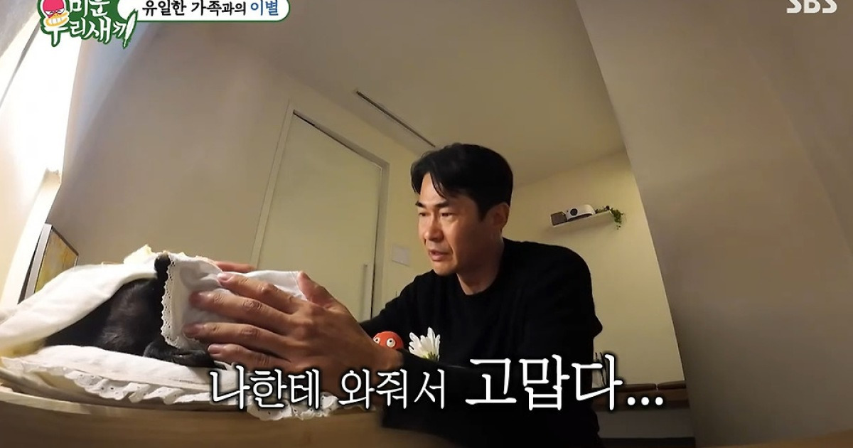 서장훈도 울었다…배정남, 반려견 떠나보낸 후 "나한테 와서 고마워" 오열 (미우새)[종합]