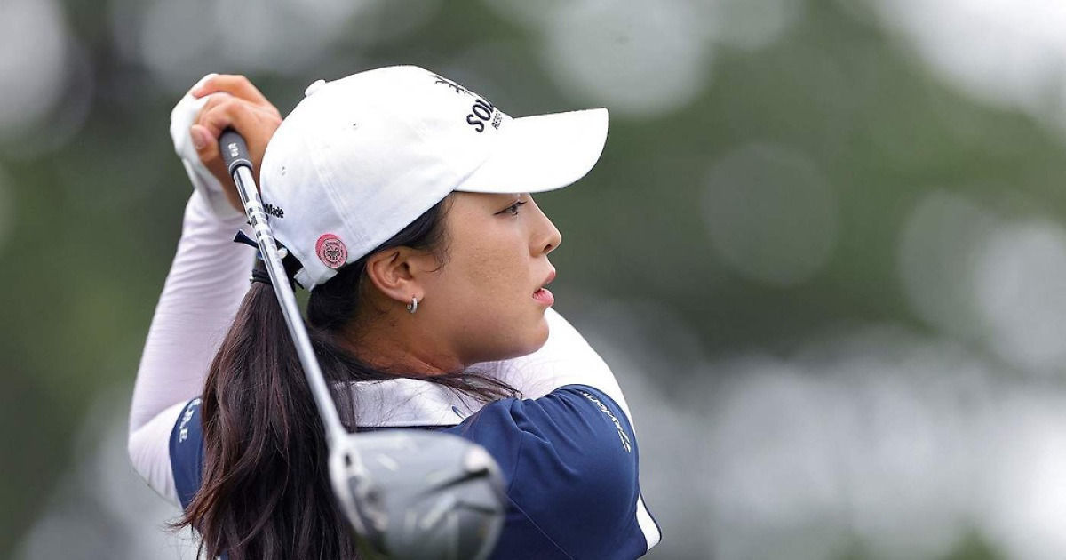 게시글 대표 이미지