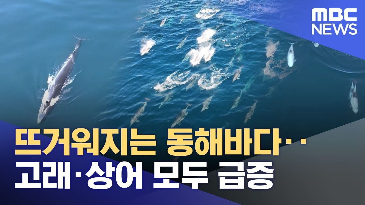게시글 대표 이미지