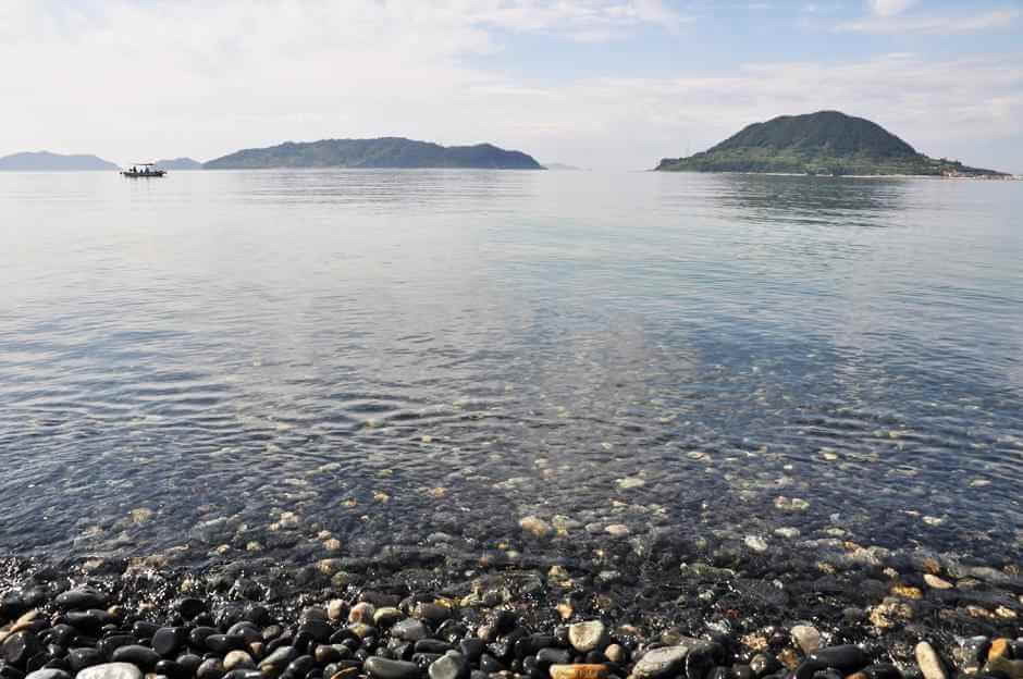 게시글 대표 이미지