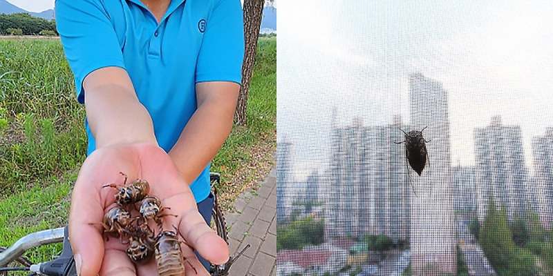 게시글 대표 이미지