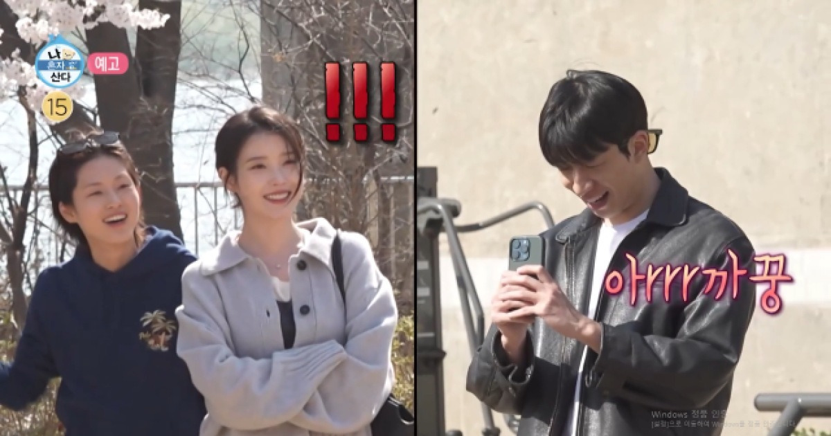 아이유, 남사친 위해 '나혼산' 떴다…벚꽃 아래 포착된 의외의 만남