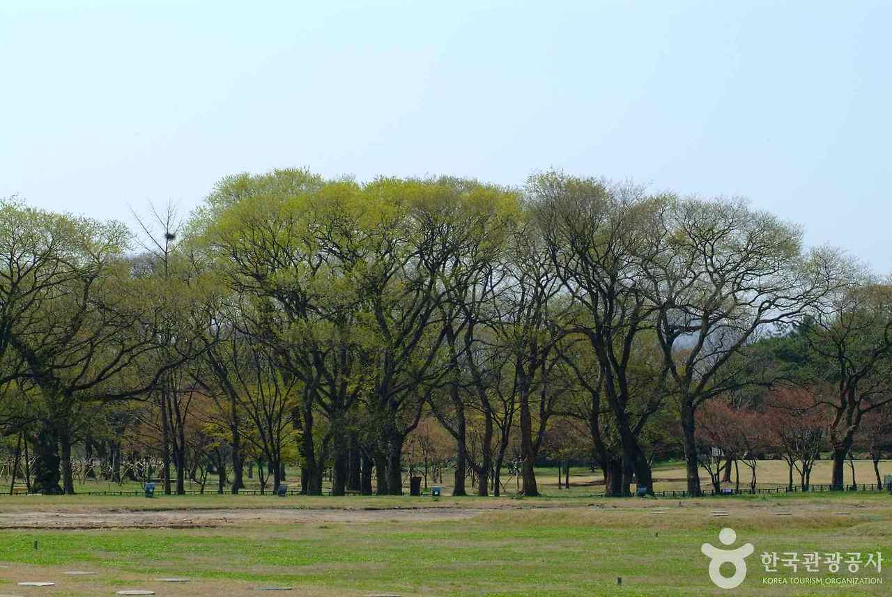 게시글 대표 이미지
