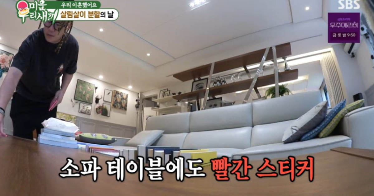 [TVis] 윤민수, 반려견에 밀렸다…전처 “새 소파 선물” 할리우드식 재산 분할 (미우새)