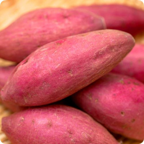 고구마 효능 7가지 숨겨진 비밀! 암 예방과 장 건강 지키는 최고의 간식 - 헬스뷰티