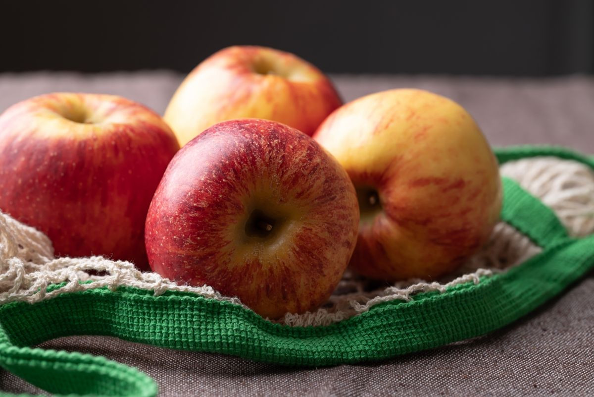 게시글 대표 이미지