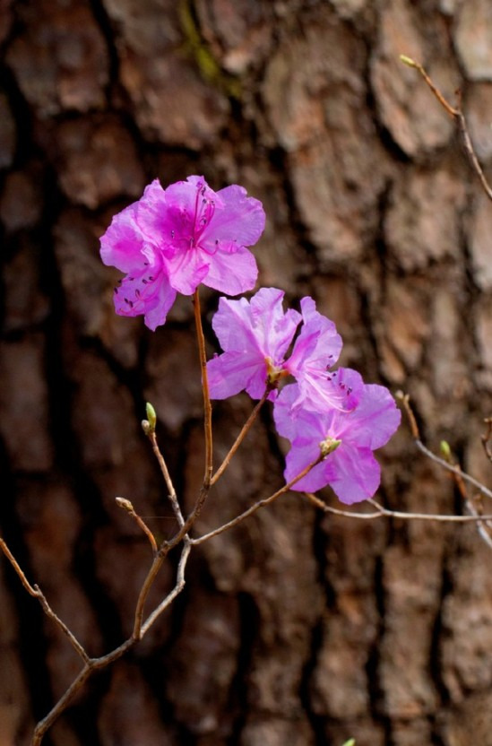 게시글 대표 이미지