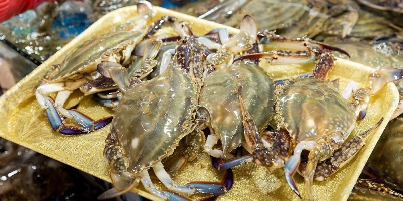 게시글 대표 이미지