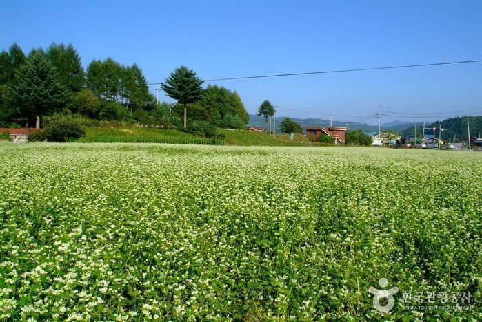 게시글 대표 이미지