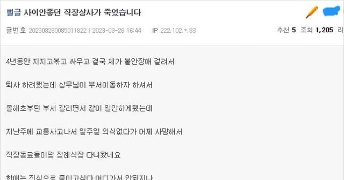 게시글 대표 이미지