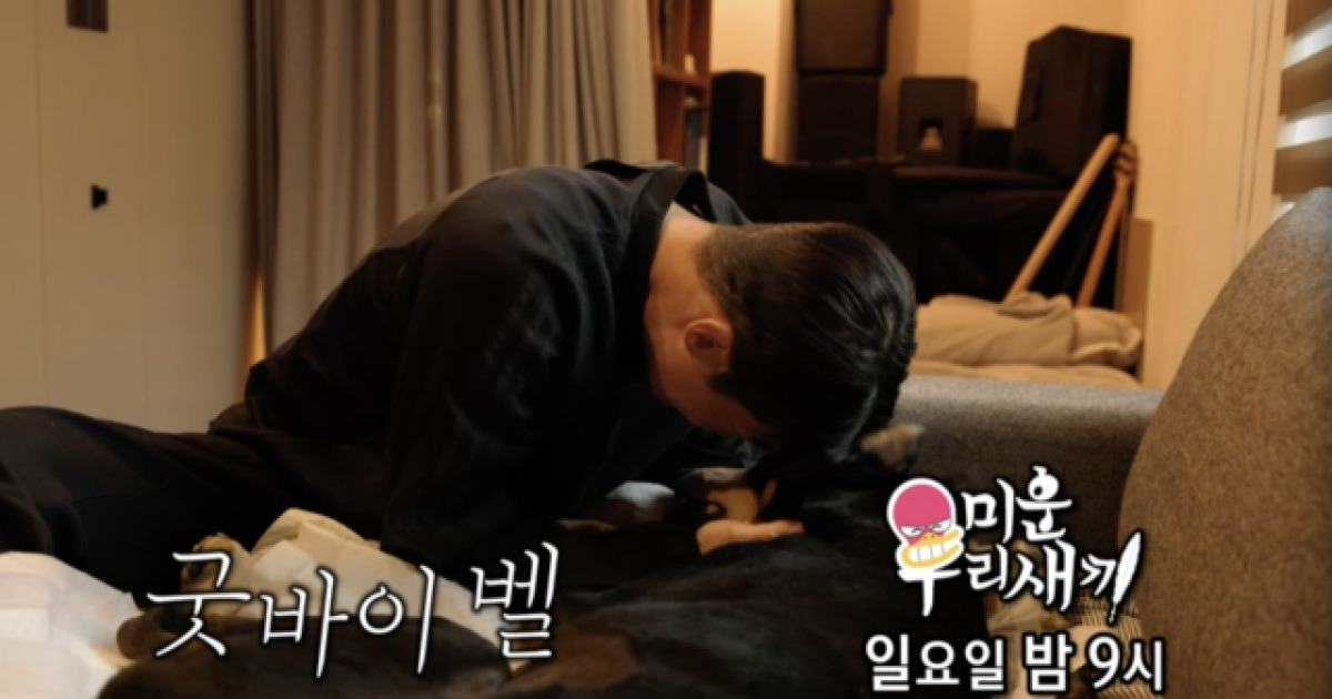 배정남, 갑작스러운 작별에 오열…"벨아 일어나봐라" ('미우새')