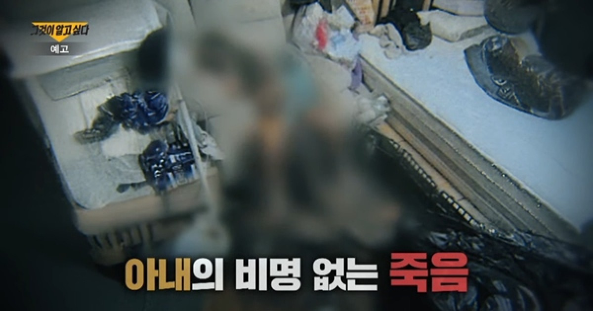 게시글 대표 이미지