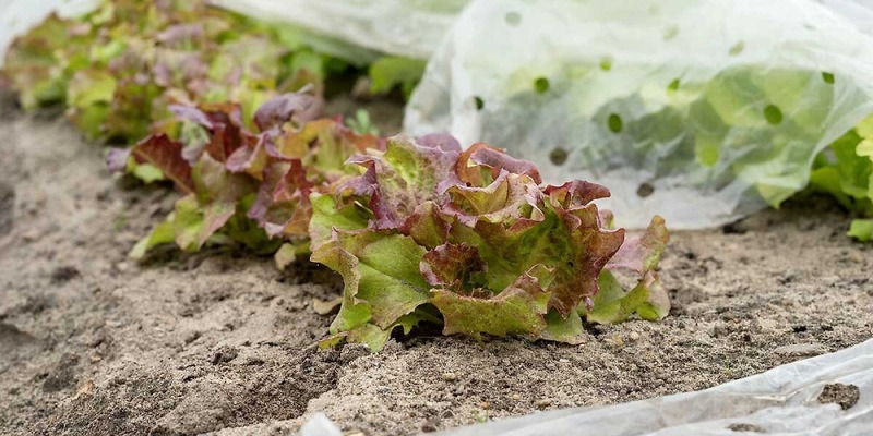 게시글 대표 이미지