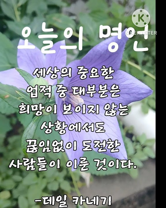 대표이미지