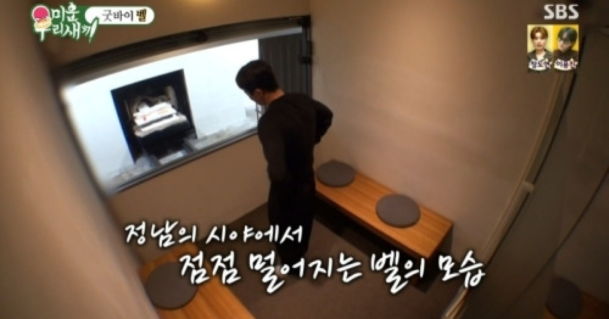 배정남, 화장터 들어가는 반려견 벨에 오열 “뜨거워서 어쩌노” (‘미우새’)[종합]