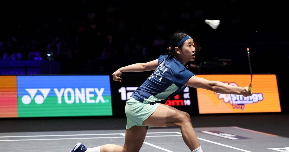 '슈퍼 슬램 도전' 안세영, 중국오픈 8강 진출…中 천위페이와 격돌(종합)