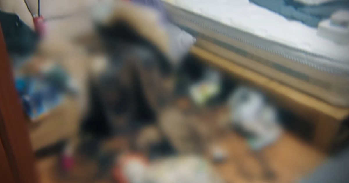 게시글 대표 이미지