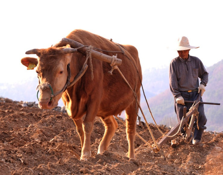 게시글 대표 이미지