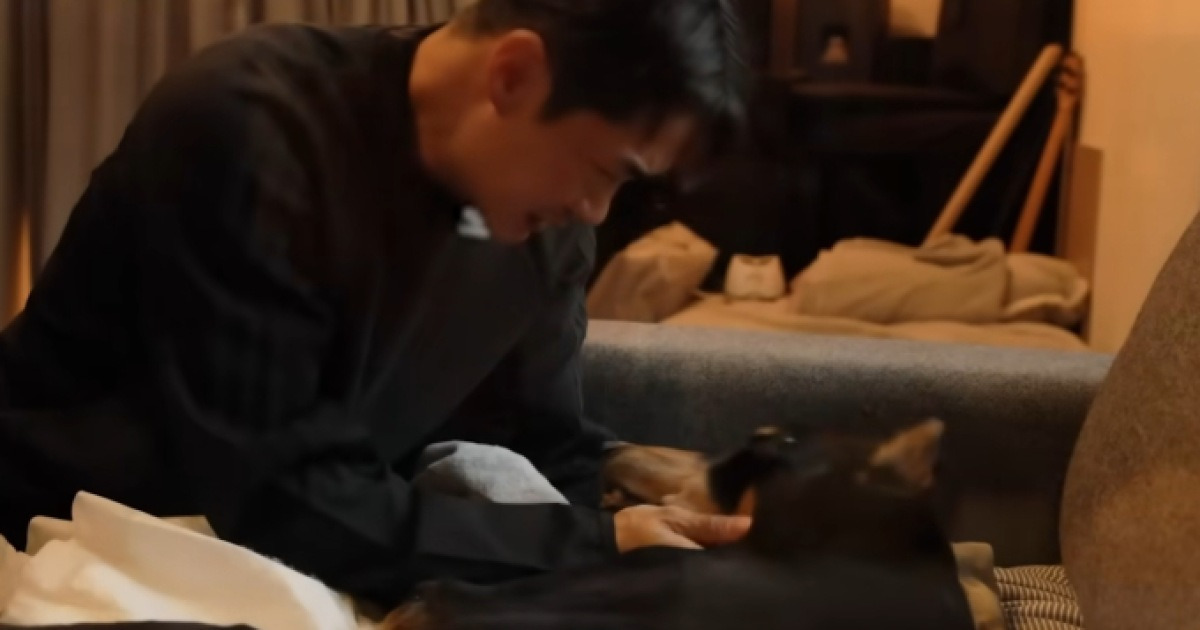 '미운우리새끼' 배정남과 벨(미우새)