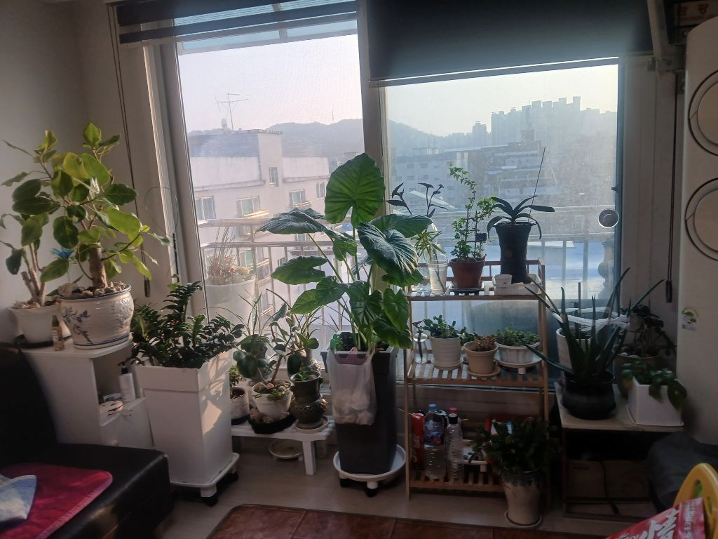 게시글 대표 이미지