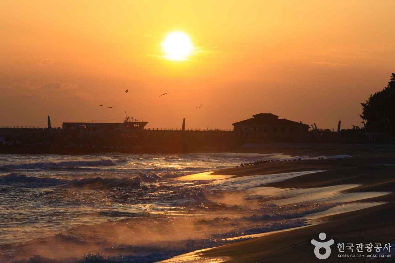 게시글 대표 이미지