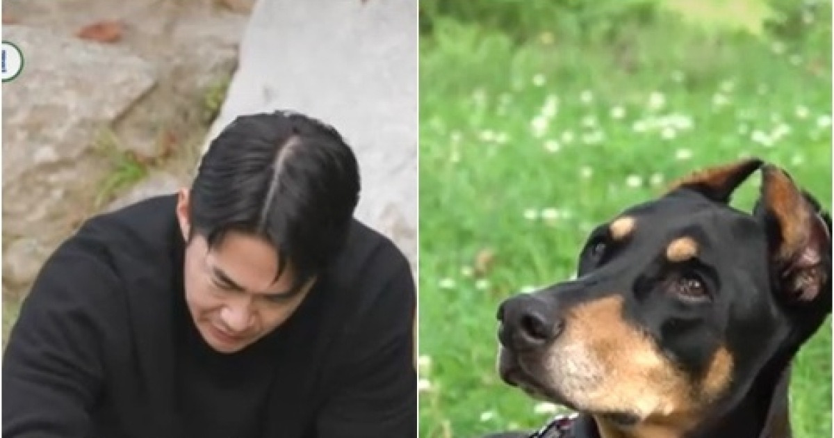 배정남 끝내, 반려견 마지막 못 지켜.."드라마 촬영 중 영상통화" 먹먹 ('미우새')