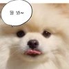 엄지 프로필이미지