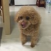 엄지 프로필이미지