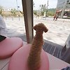 엄지 프로필이미지
