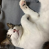 엄지 프로필이미지