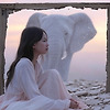 프로필사진