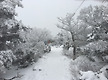 한라산 및 제..