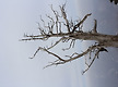금정산_13_0..