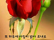 8월 초하루 ..