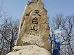 2016년 3월6..
