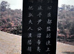 16세 上護軍公..