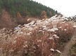 억세가 아름다..