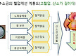 고혈압과 소금..