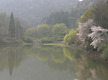 세량지