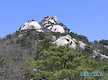 성당초 재경 ..