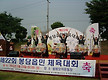 봉담읍민 체육..