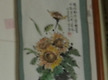 해바라기