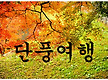 11월달번개산..