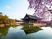 경회루 수양벚..