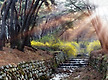 삼능