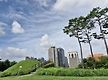 남산 구경