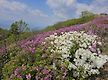 지리산 서북부..