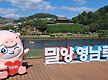 밀양강 둔치에..