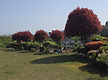 교회 아름다움..